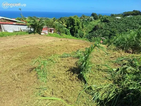 Terrain 2474 m² Le Lorrain