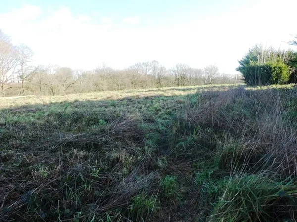 Terrain à bâtir