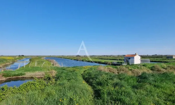 Terrain de loisir à poissons de plus de 2 hectares