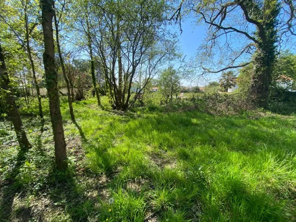 Terrain 825 m²