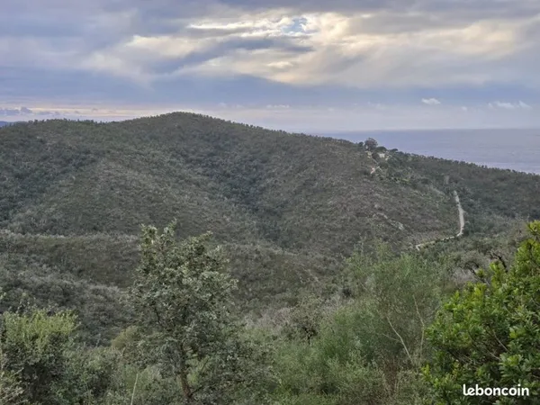Terrain 67280 m² Bormes-les-Mimosas