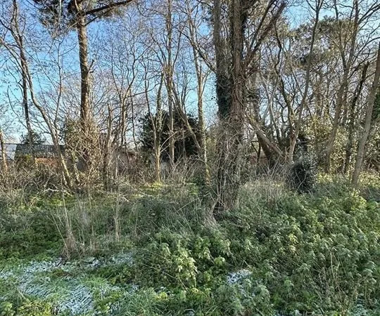 Terrain - 2330m ²