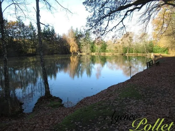 Etang 5400 m2 sur terrain de 1,64 ha, abri de pêche, hangar