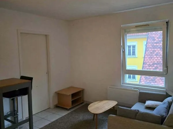 F1 26 m² meublé centre piéton - Disponible