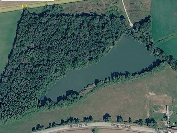 Etang. Thurey 71