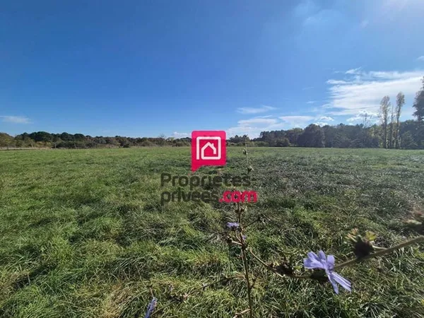 Terrain constructible de 6262 m² - Beau potentiel de projet