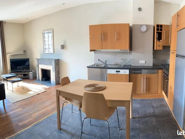 T2 - meuble - tbe - 52 m² - grenoble centre