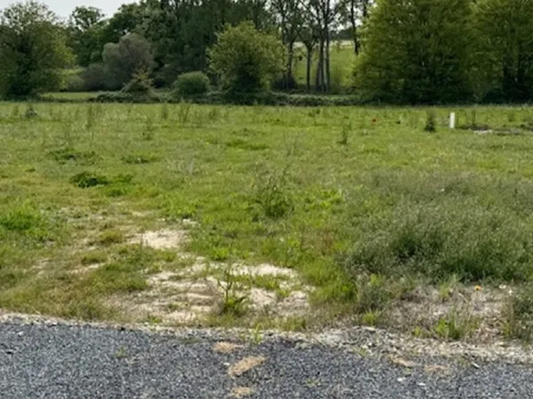 Terrain 559 m²
