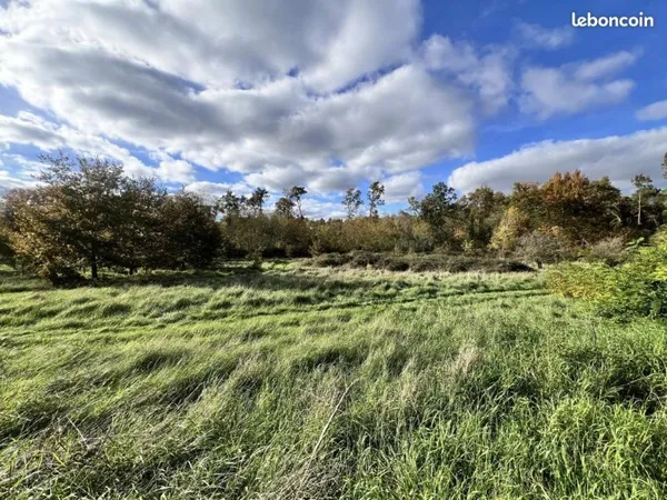 Terrain 1300 m² Noyers-sur-Cher