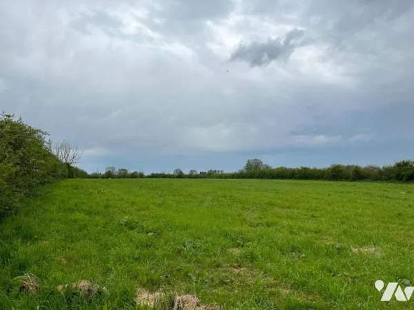Terrain 1175 m²