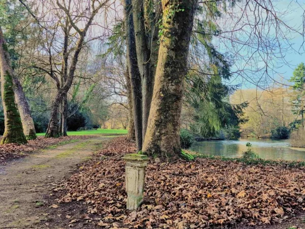 Château 10 pièces