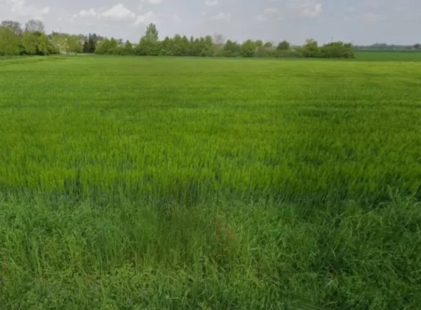 Terrain 512 m²
