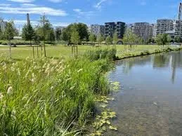 Propose colocation - appt 4ème étage avec 2 loggias face au Grand Parc des Docks St-Ouen, St-Lazare 