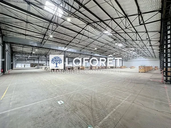 Local commercial 7847 m²