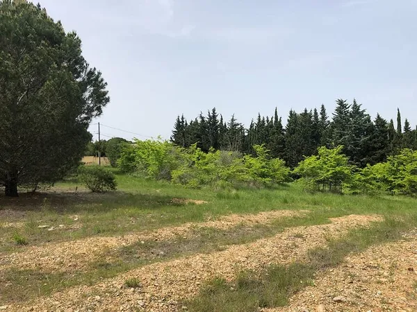 Terrain - 2250