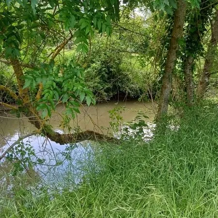 Terrain de loisir