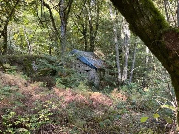 Plan d'eau Vente Corrèze   39200€