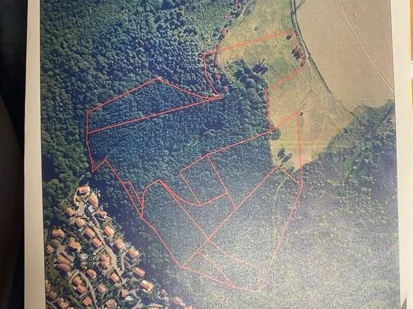 Propriete forestiere de 11ha 15a 73ca