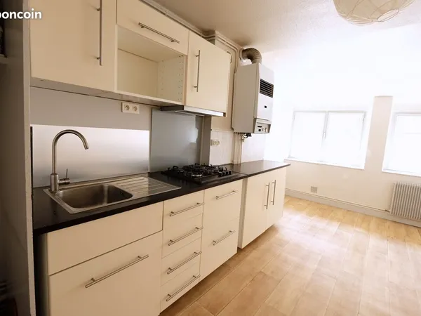 T3 duplex, en centre ville du Puy