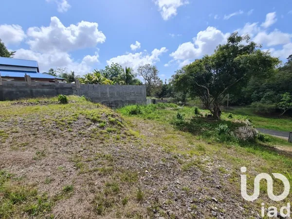 Terrain 1000 m²