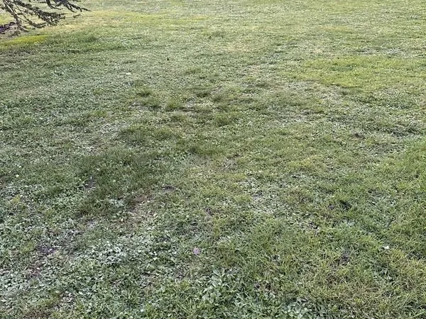 Terrain 747 m2 constructible