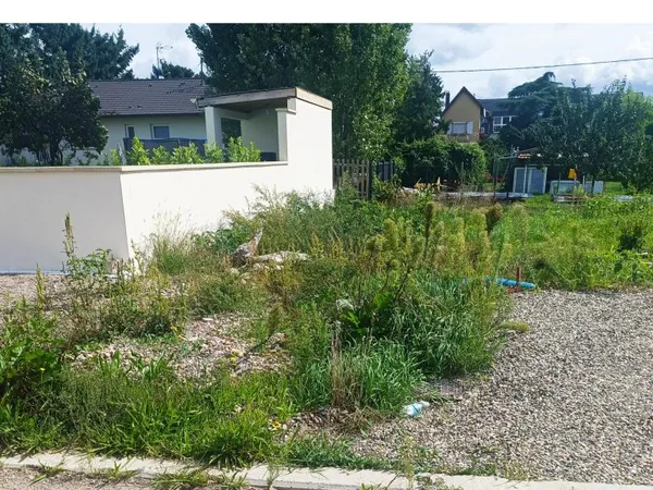 Terrain en individuel 239 m²
