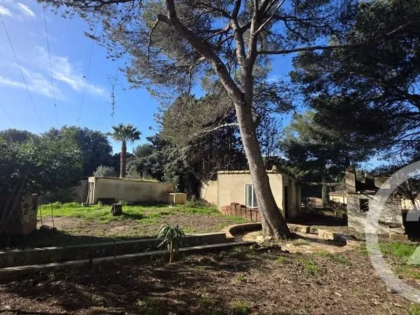 Terrain 463 m²