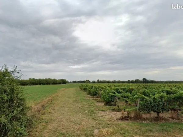 Terrain 528 m² Notre Dame D Allencon