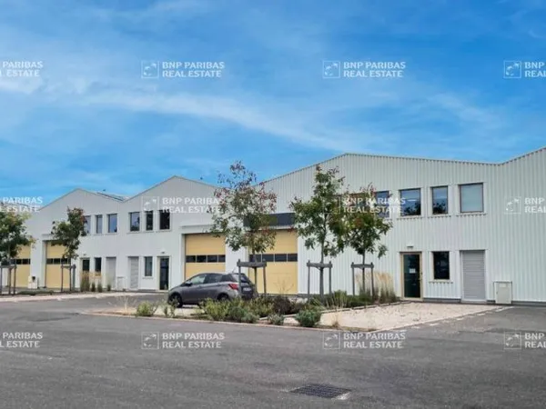 Local d'activité 3 pièces 3237 m²