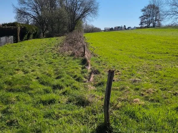 Vends grand terrain