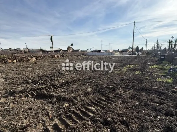 Terrain 1000 m²