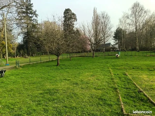 Terrain constructible