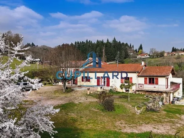 EXCLUSIVITE - SAINT-HAON-LE-VIEUX - Belle longère de 250m2
