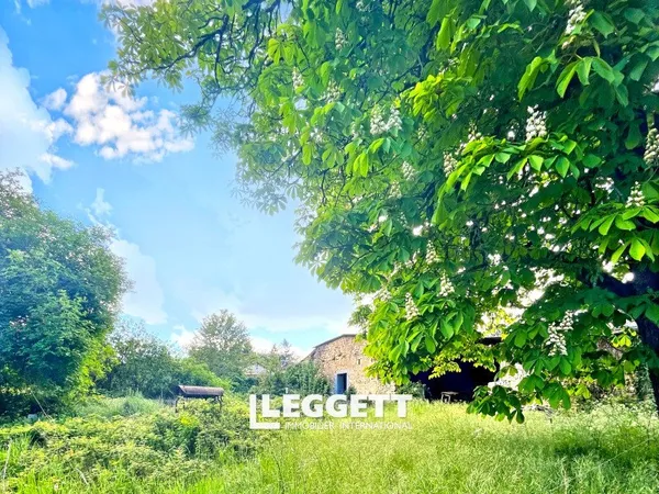 Local d’activité et entrepôt Vente Pranzac   64600€
