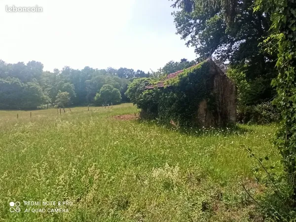 Terrain à vendre