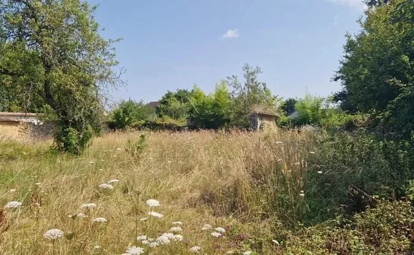 Terrain 558 m²