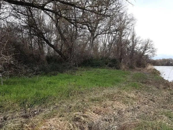 Terrain boisé bord du Rhône