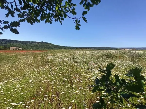 Terrain agricole