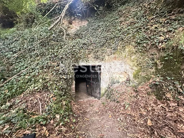 Vente cave voûtée à Beaumont Pied de Boeuf (72500)