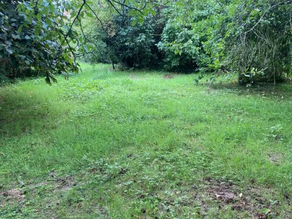 Terrain Bethemont La Foret