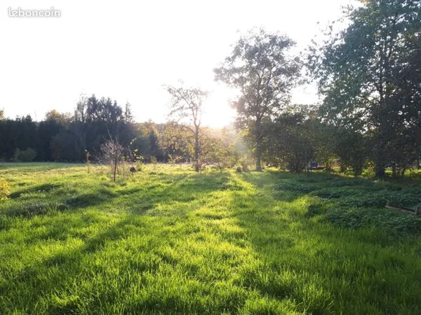 Terrain de 50 ares