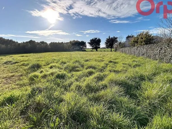 Terrain 1537 m²