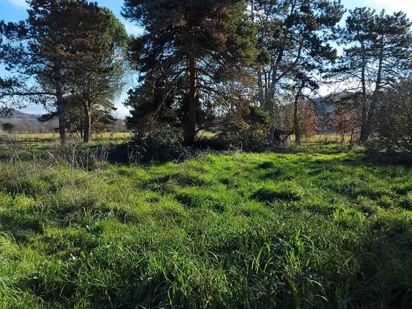 Terrain secteur Marranel / école des mines