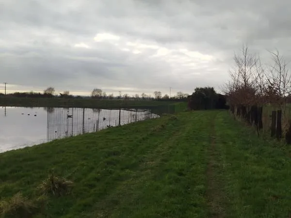 Bien agricole et foncier Vente Carentan-les-Marais  10000m² 35000€