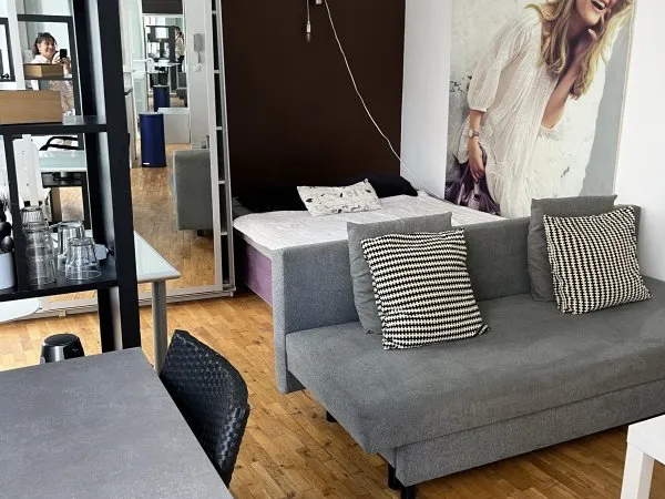 Magnifique appartement de 30m² idéal étudiant plein centre de Lille
