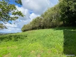 Terrain constructible