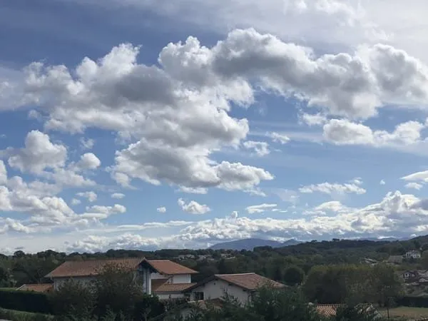 Terrain
