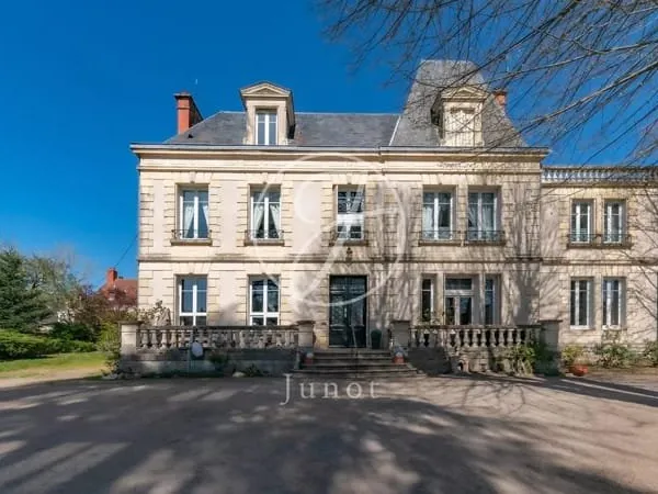 La Guerche sur l' Aubois- Cher- Hôtel particulier avec activité à vendre