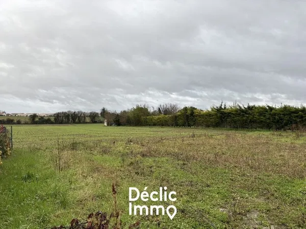 Terrain constructible