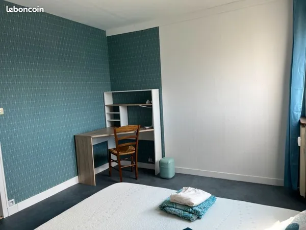Co-location proche centre ville